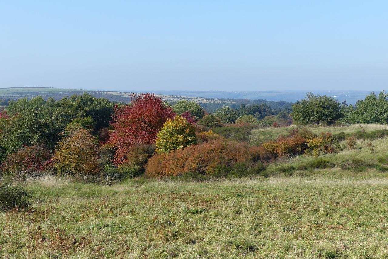 Chalets Am National Park Eifel Villa ชไลเดิน ภายนอก รูปภาพ