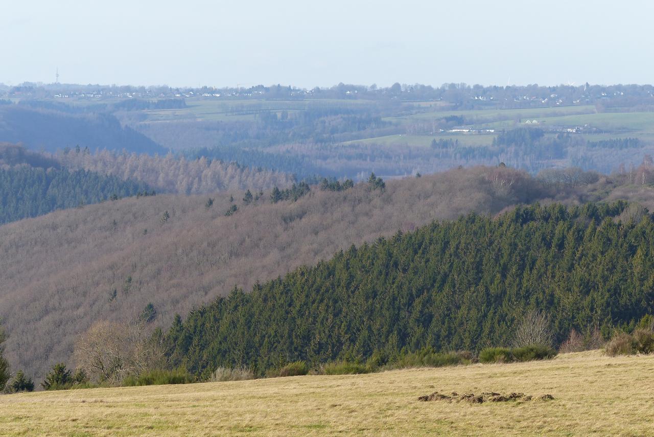 Chalets Am National Park Eifel ชไลเดิน ภายนอก รูปภาพ
