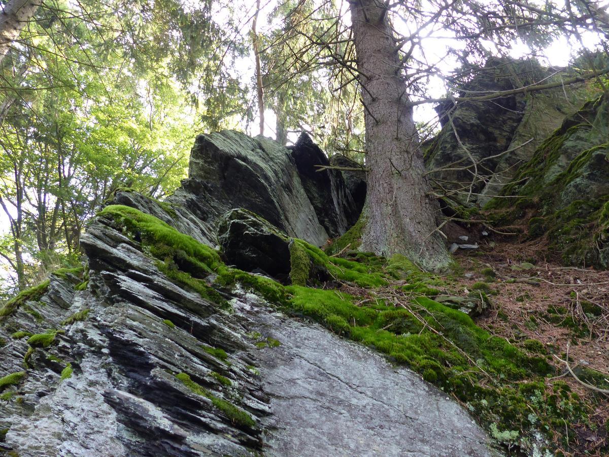 Chalets Am National Park Eifel ชไลเดิน ภายนอก รูปภาพ